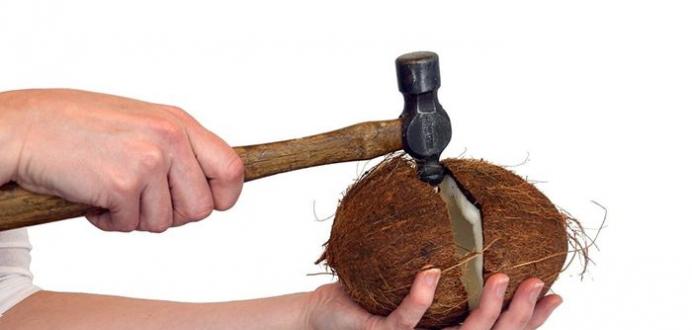 Как разбить кокосовый орех