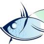 مشخصات دقیق و توصیف علامت زودیاک ماهی ها