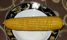 Corn: a quick cooking method (step-by-step recipe with photos)