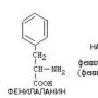 Ферменты Ферменты ускоряют химические реакции