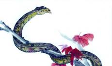 Rooster and Snake - compatibility in love and marriage