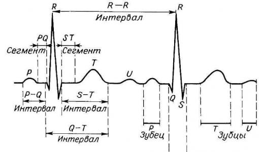 Norm ecg in adults