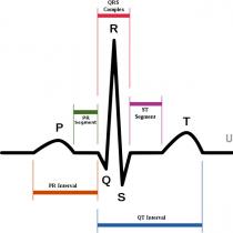 ECG indicators and norms in adults and children